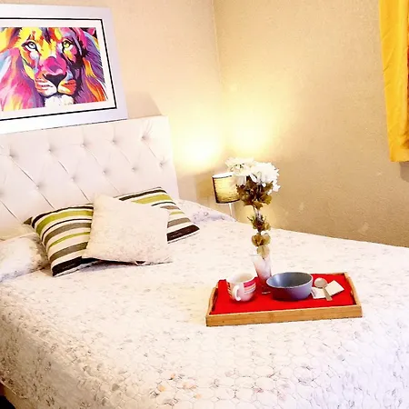 Cuy House Habitaciones Privadas Miraflores Lima Extérieur photo